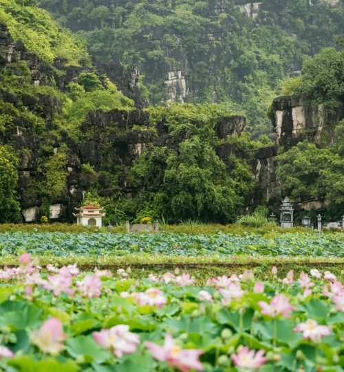 Ninh Binh 1 Day Private Tours