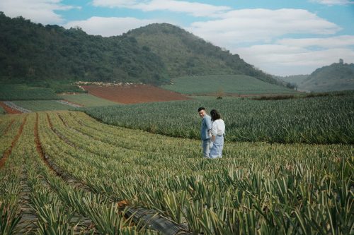 Tour riêng Ninh Bình 1 ngày Tuyệt Tình Cốc Hang Múa đồi dứa Tam Điệp