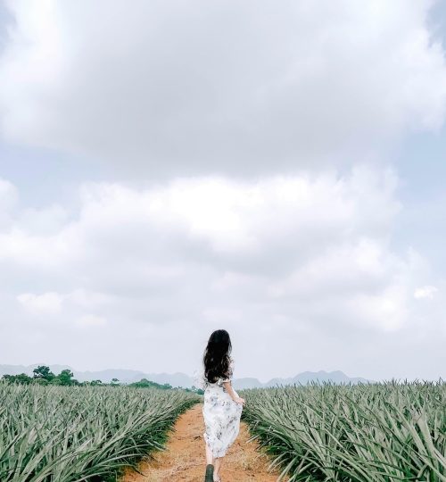 pexels-lylah-to-1587802523-27689575